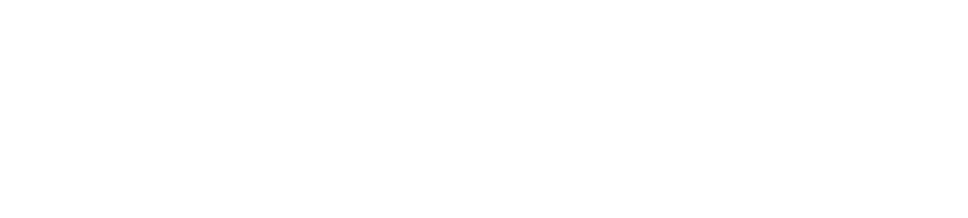 ELZShoping